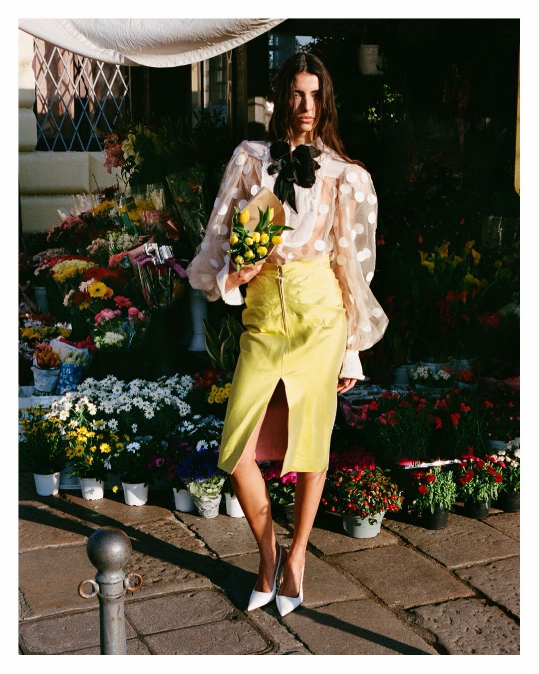Carolina Fernandes portfolio